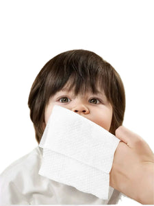 Nomo Duck Cloth Wipe