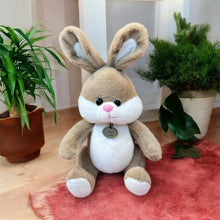 Load image into Gallery viewer, Furry Brown Bunny
