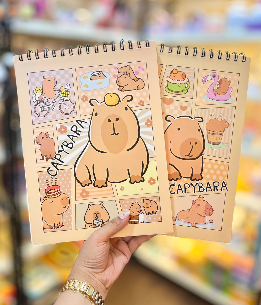 Capybara Sketch Blank/Notebook