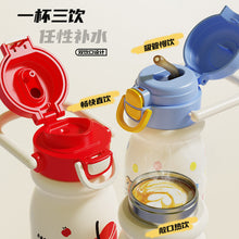 Load image into Gallery viewer, Pinteresty Handel Insulated Water Bottel 500ml
