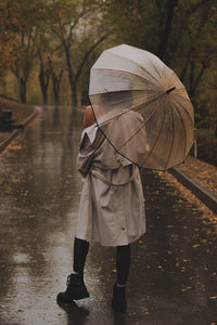 Transparent Big Umbrella