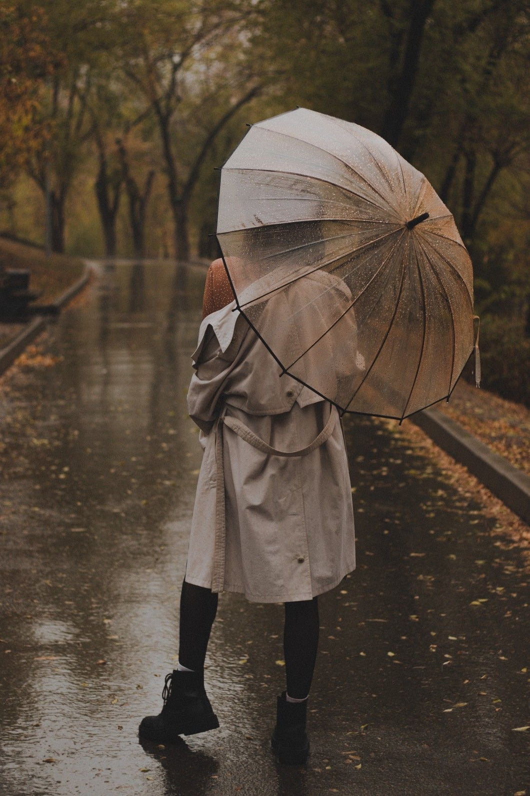 Transparent Big Umbrella