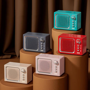 Radio Bluetooth Speaker