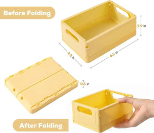 Mini Storage Trays