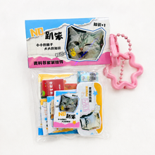 Load image into Gallery viewer, Cat Lover Miniature Object Bag Charm Collectible
