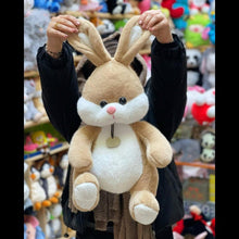 Load image into Gallery viewer, Furry Brown Bunny
