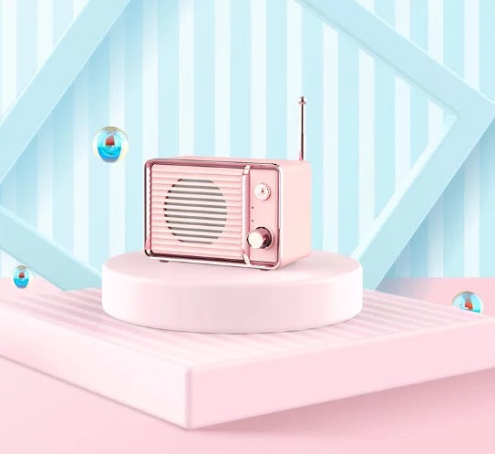Mini Radio Bluetooth Speaker